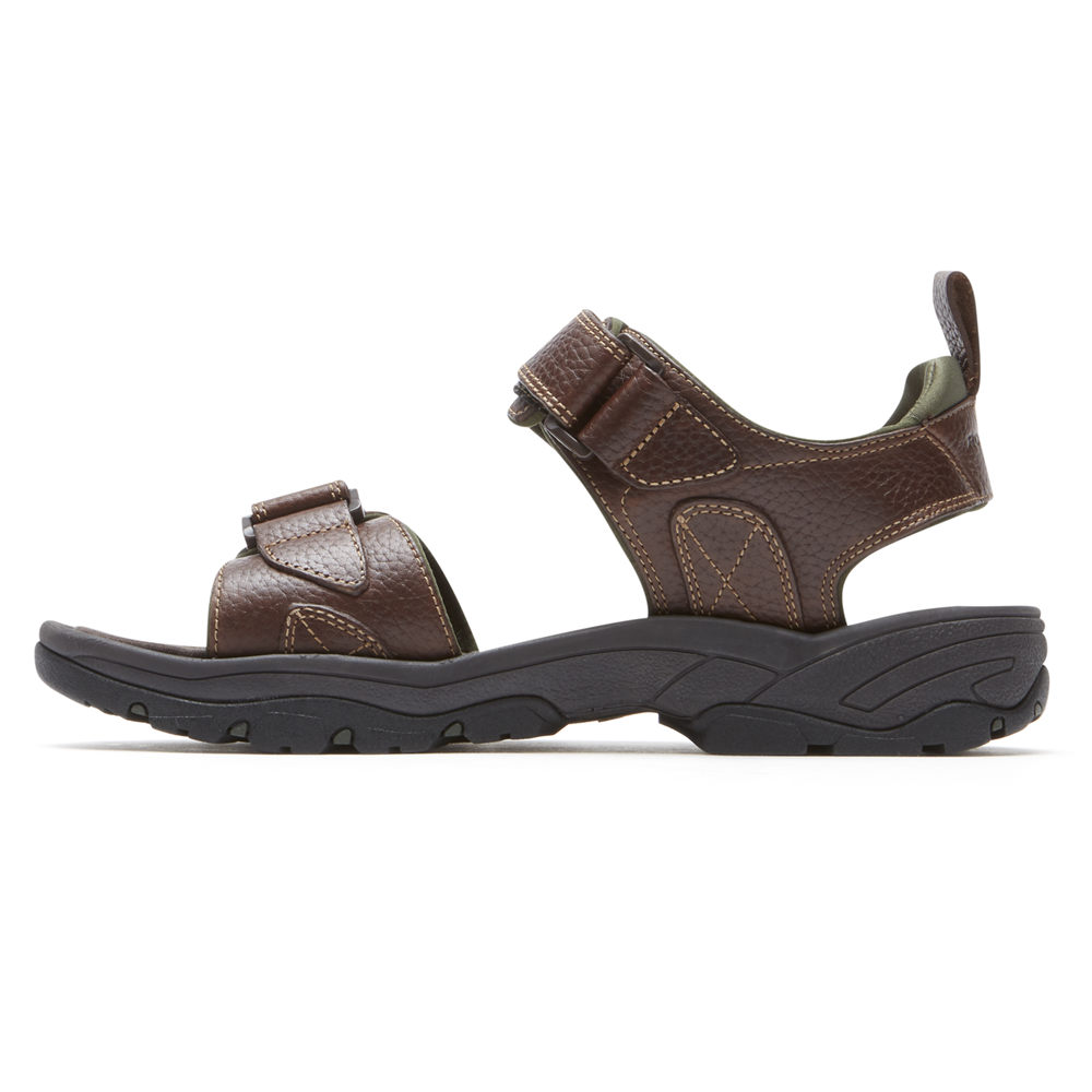 Rockport Singapore Mens Sandals - SpringBoro Rocklake Brown - VS3871620